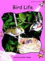 Bird Life Prereading