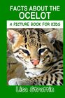 Facts About the Ocelot (A Picture Book For Kids)