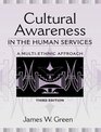 Cultural Awareness in the Human Services A MultiEthnic Approach
