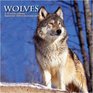 Wolves 2010 Wall Calendar