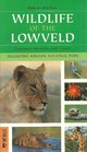 Wildlife of the Lowveld Common Animals and Plants
