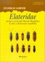 Elateridae of the Czech and Slovak Republics