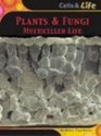 Plants and Fungi Multicelled Life