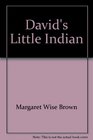 David's Little Indian A Story