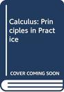 Calculus Principles in Practice