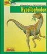 Looking at Hypsilophodon A Dinosaur from the Cretaceous Period