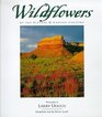 Wildflowers Of The Plateau And Canyon Country