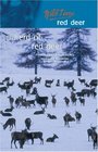 A Herd of Red Deer A Study in Animal Behaviour