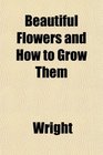 Beautiful Flowers and How to Grow Them