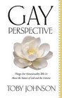 Gay Perspective  Things Our Homosexuality Tells Us About the Nature of God and the Universe