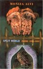 Split World Poems 1990  2005