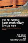 Iron Has Memory Rocks Breathe Slowly Crystals Learn Long Term Thinking and Cultural ChangeRevisited