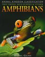 Tree Frogs Mud Puppies and Other Amphibians