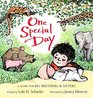 One Special Day A Story for Big Brothers and Sisters