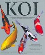 Koi A Colourful and Comprehensive Celebration of These Beautiful Ornamental Fish