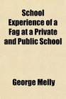 School Experience of a Fag at a Private and Public School