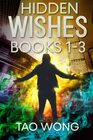 Hidden Wishes Books 13