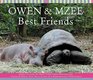 Owen and Mzee Best Friends