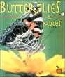 Butterflies And Moths