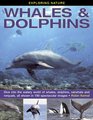 Exploring Nature Whales  Dolphins Dive Into the Watery World of Whales Dolphins Narwhals and Rorquals All Shown in 190 Spectacular Images