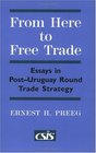 From Here to Free Trade  Essays in PostUruguay Round Trade Strategy
