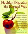 Healthy Digestion the Natural Way Preventing and Healing Heartburn Constipation Gas Diarrhea Inflammatory Bowel and Gallbladder Diseases Ulcers Irritable Bowel Syndrome and More