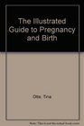 The Illustrated Guide to Pregnancy and Birth