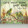 Let's Meet Some Baby Birds (Medici books for children)