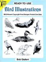 ReadytoUse Bird Illustrations  98 Different CopyrightFree Designs Printed One Side