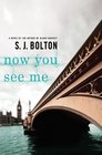 Now You See Me (Lacey Flint, Bk 1)