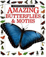 Amazing Butterflies  Moths