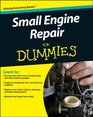 Small Engine Repair for Dummies (For Dummies (Math & Science))