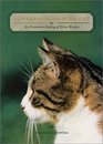Conversations with Cat An Uncommon Catalog of Feline Wisdom