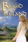 Brigid of Ireland A Historical Novel