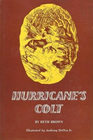 Hurricane's colt