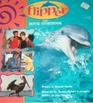 Flipper Movie Storybook