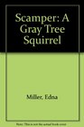 Scamper A Gray Tree Squirrel