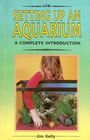 A Complete Introduction to Setting Up an Aquarium