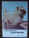 How to Raise and Train a Cairn Terrier