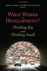 What Works in Development Thinking Big and Thinking Small