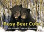 Busy Bear Cubs (A Busy Book)