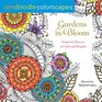 Zendoodle Colorscapes Gardens in Bloom Gorgeous Flowers to Color and Display