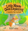 Little Mouse Goes Exploring A Surprise Popup Book