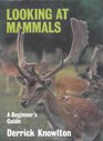 Looking at Mammals  a Beginner's Guide