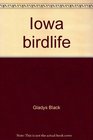 Iowa birdlife