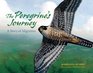 The Peregrine's Journey A Story of Migration