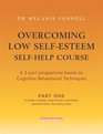 Overcoming Low Selfesteem Selfhelp Course Pt 1