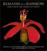 Remains of a Rainbow Rare Plants and Animals of Hawai'i