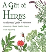 A Gift of Herbs An Illustrated Garden In Miniature
