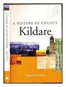 A History of County Kildare